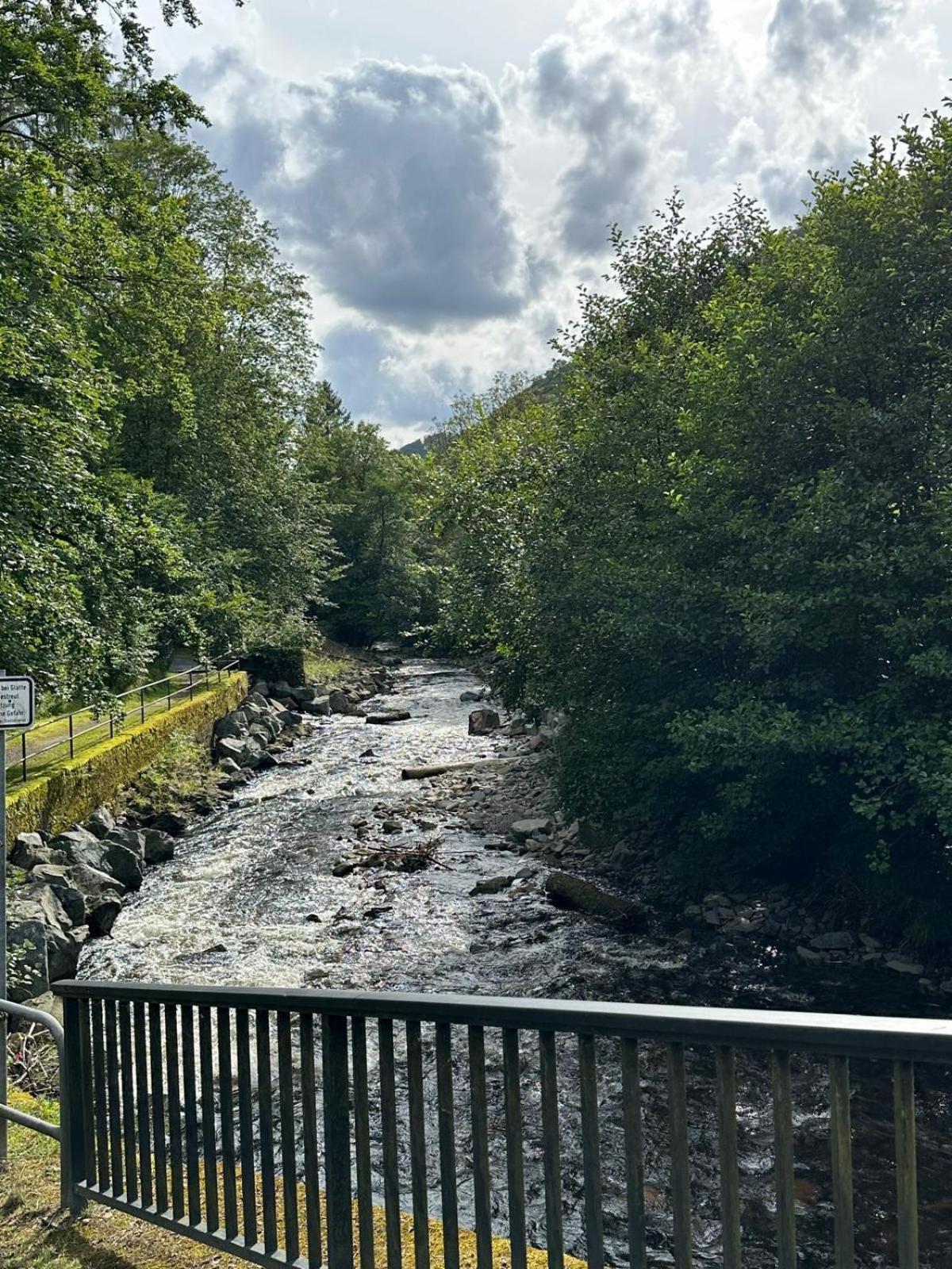 Ferienbutzen Harz Heikenberg, Mit Schwimmbad Und Sauna