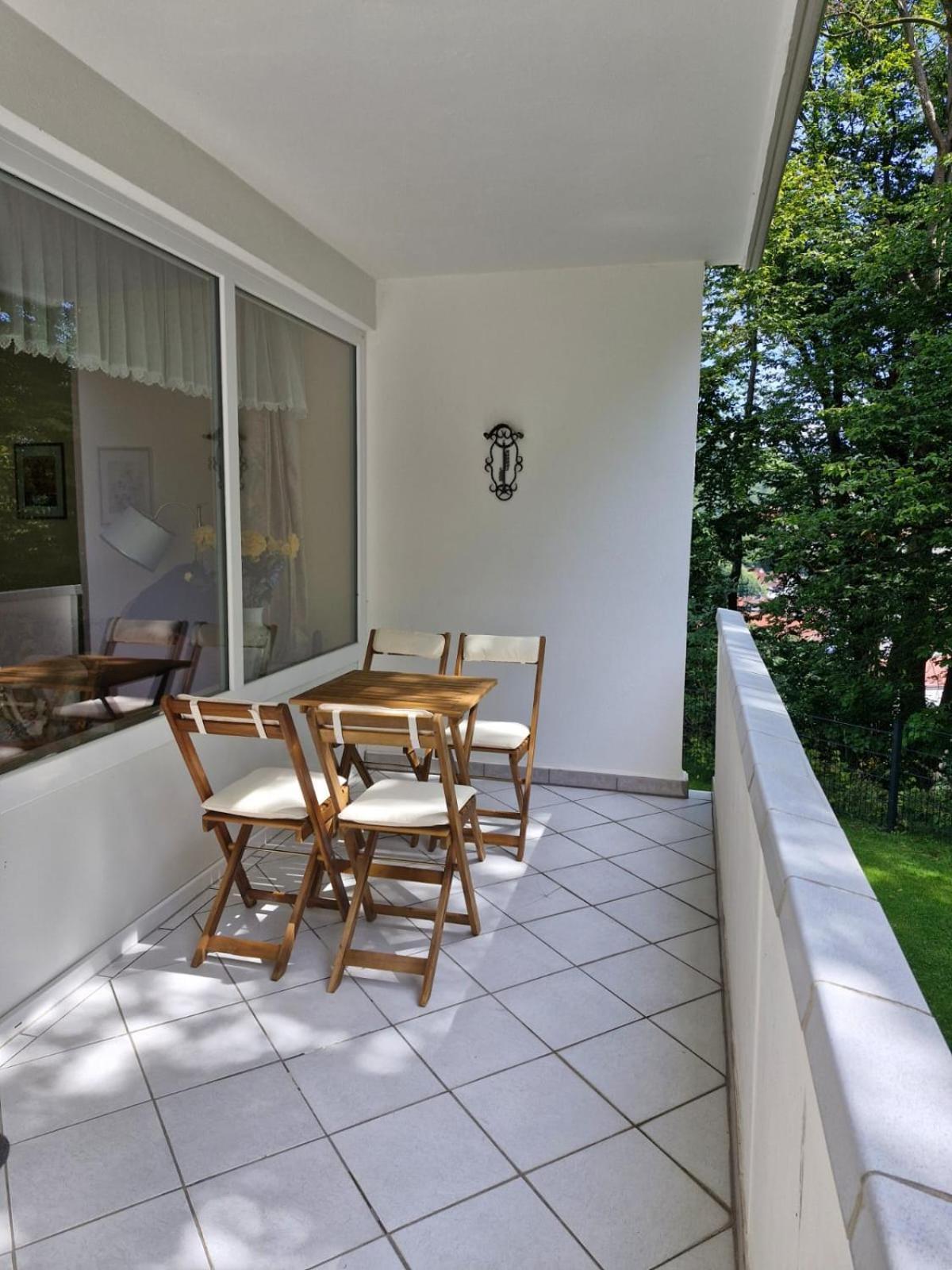 Ferienbutzen Harz Heikenberg, Mit Schwimmbad Und Sauna Apartment